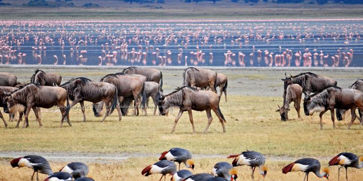 Lake Manyara National Park