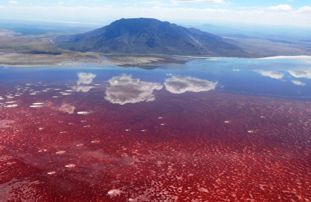 Lake natron