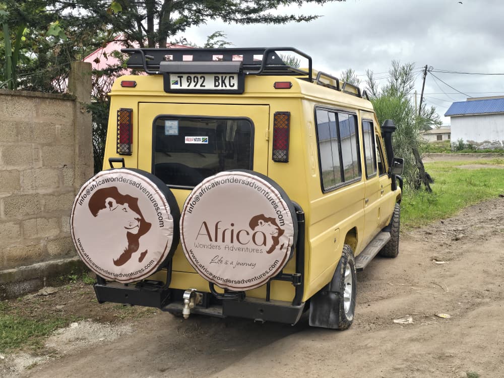 More Than a Safari