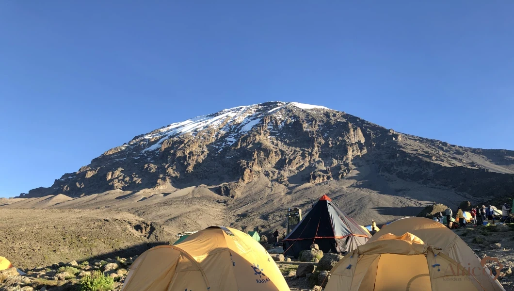 Day 4 image