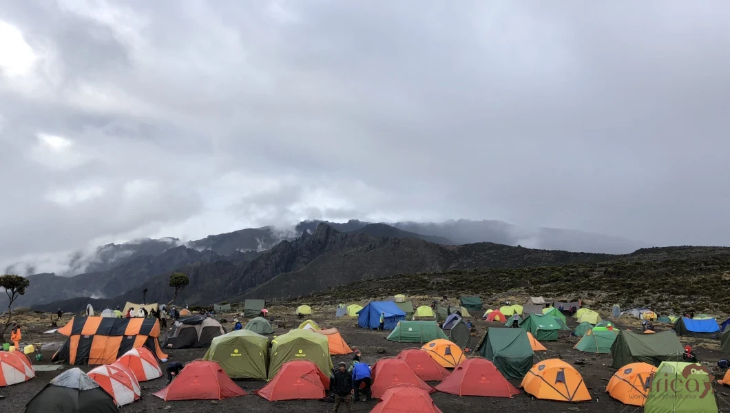 Day 7 image